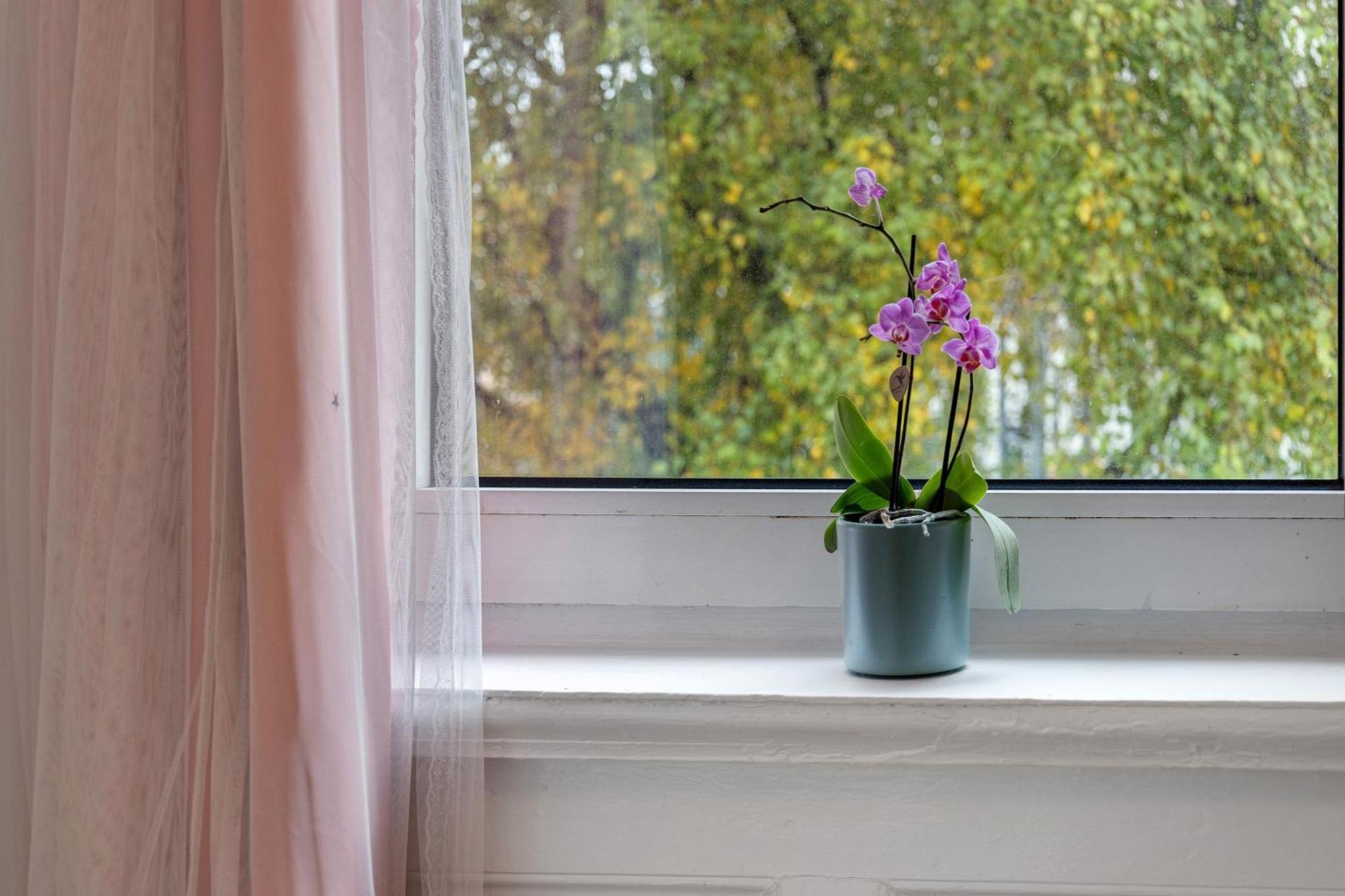 Haus Sonnenschein Daire Hamburg Dış mekan fotoğraf